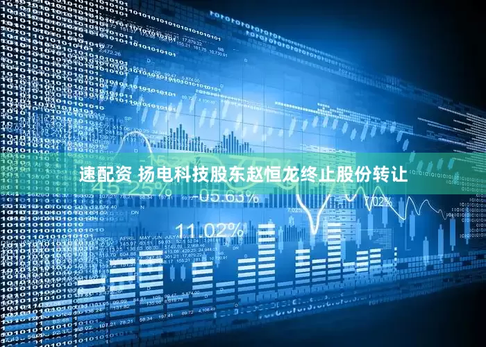 速配资 扬电科技股东赵恒龙终止股份转让