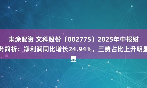 米涂配资 文科股份（002775）2025年中报财务简析：净利润同比增长24.94%，三费占比上升明显