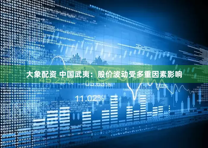 大象配资 中国武夷：股价波动受多重因素影响